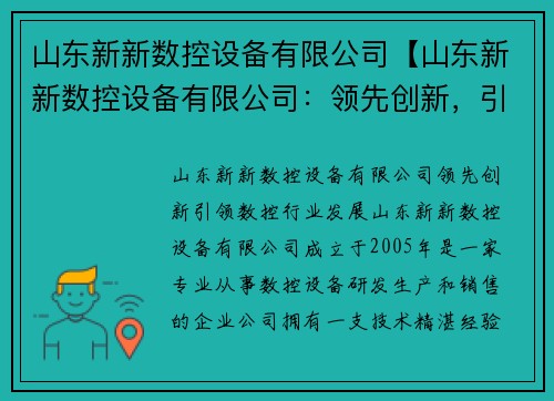 山东新新数控设备有限公司【山东新新数控设备有限公司：领先创新，引领数控行业发展】